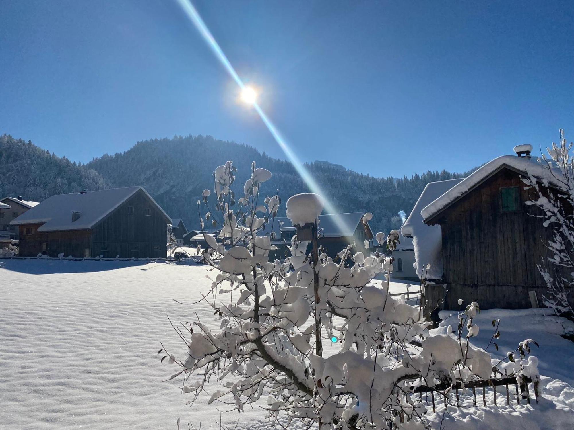 Bregenzerwaelderhaus Ambros Villa Bezau Esterno foto