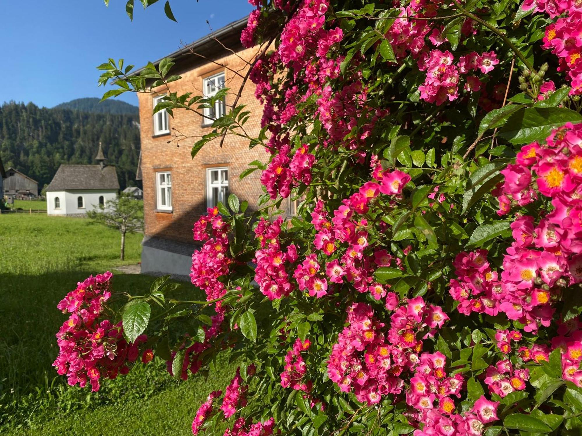 Bregenzerwaelderhaus Ambros Villa Bezau Esterno foto