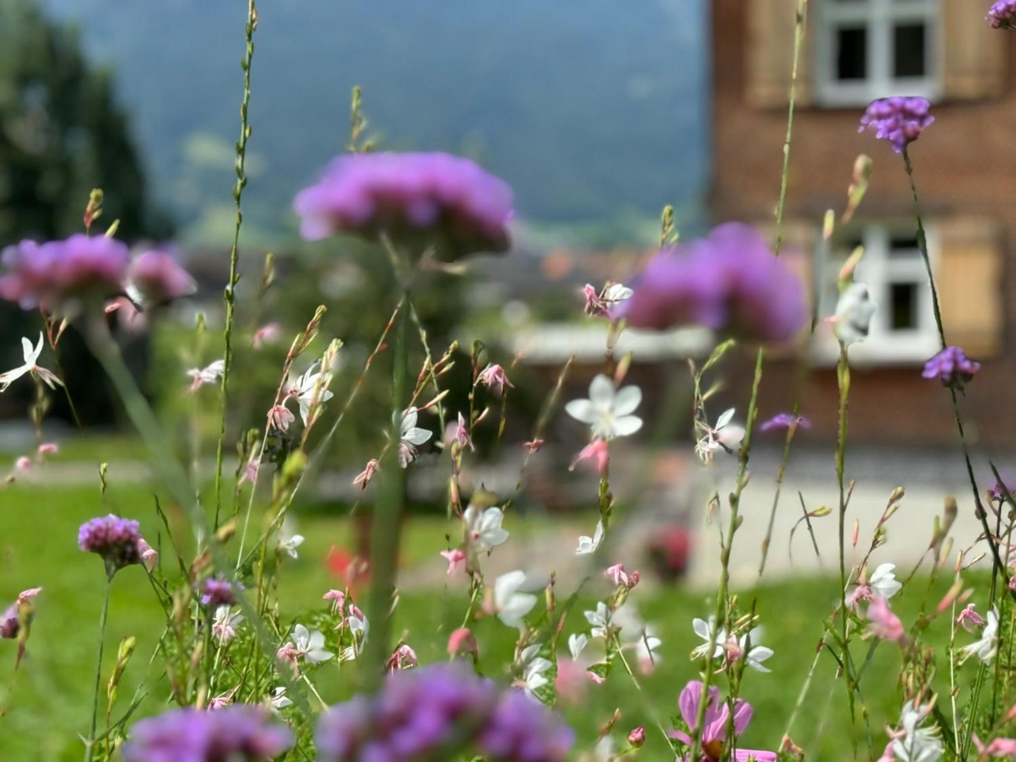 Bregenzerwaelderhaus Ambros Villa Bezau Esterno foto